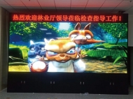 浙江绍兴某政府机关液晶拼接屏