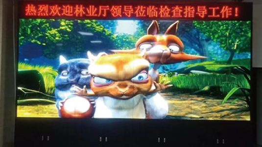 浙江绍兴某政府机关液晶拼接屏