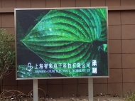 上海某校园P10LED显示屏
